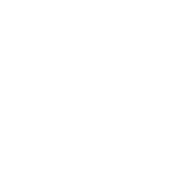 Bolo da Madre